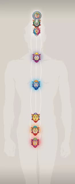 footerFigure